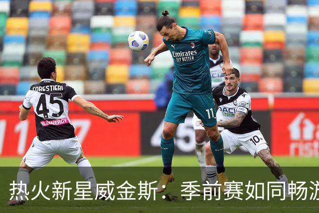热火新星威金斯：季前赛如同畅游在篮球梦想海洋中！